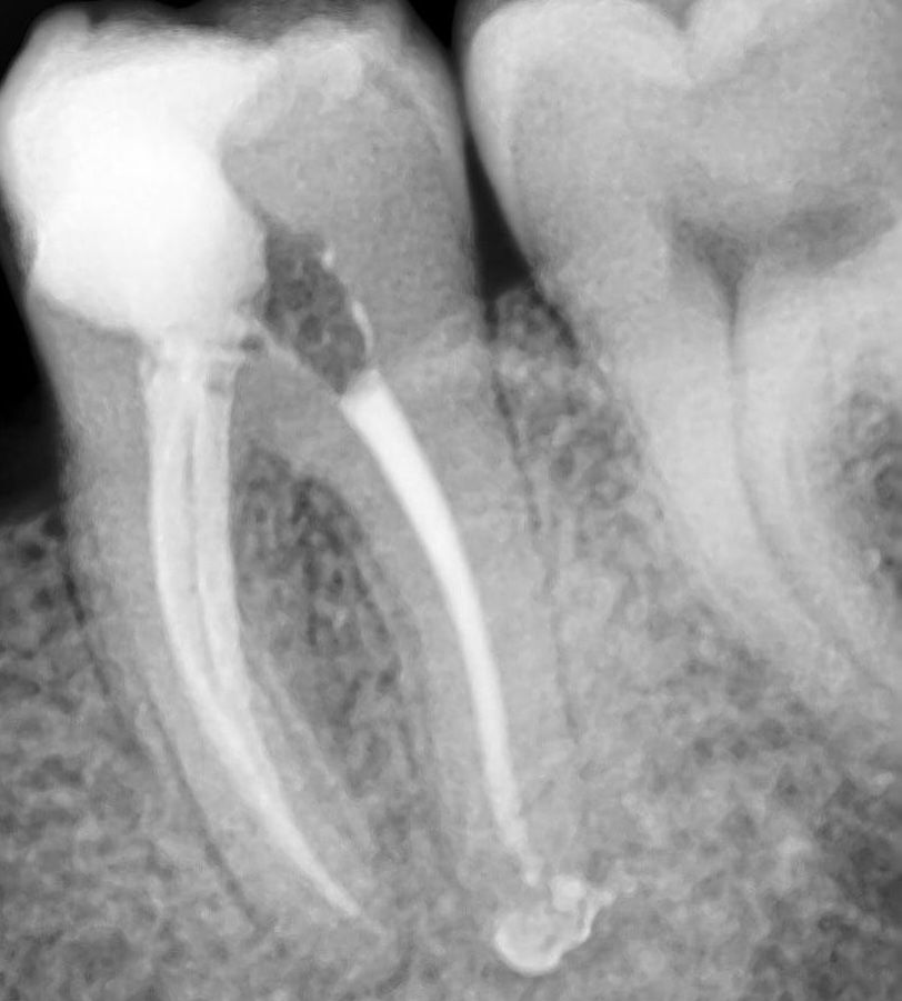 Esmeralda Candida Guerrero Pimentel-29