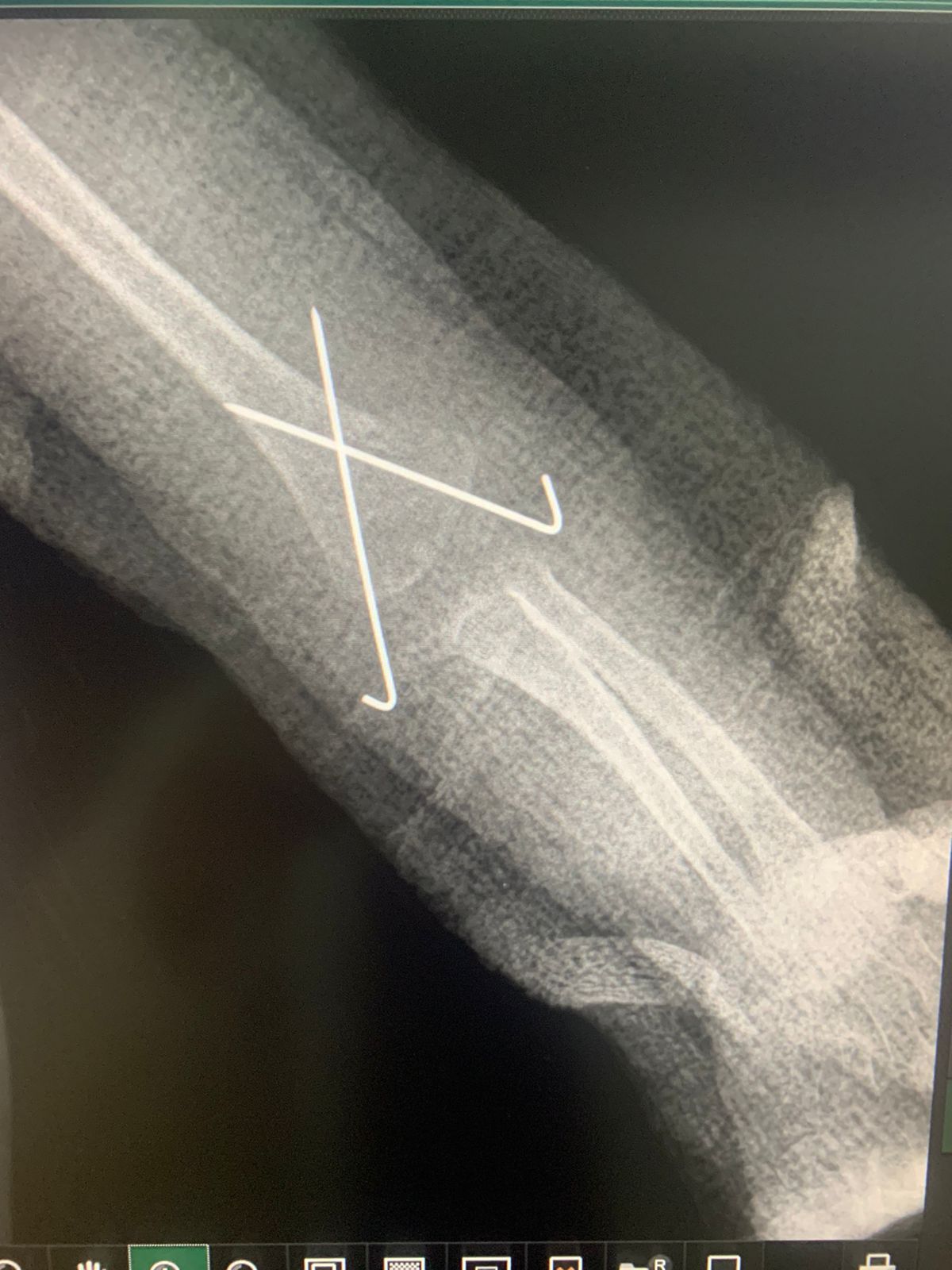 Jesus Manuel Gonzalez-14