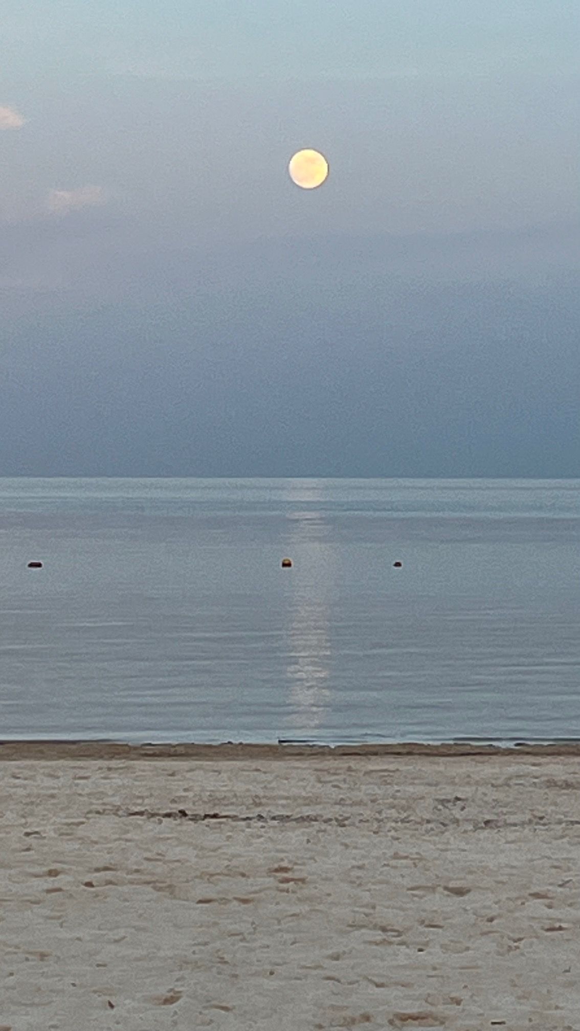 Horacio Contreras Colín-22