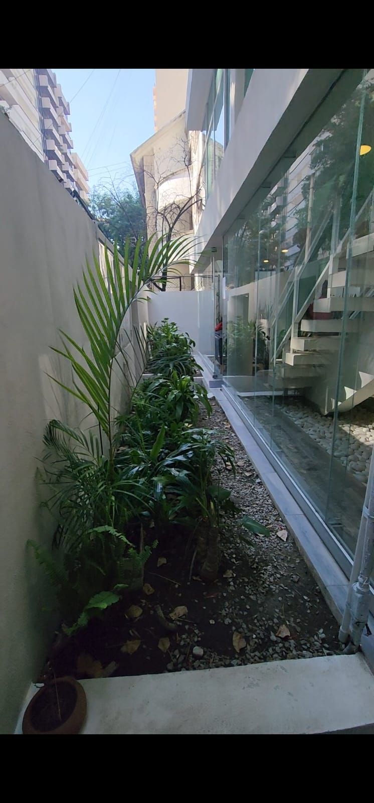 Ana Paulina Sánchez Pinto-5