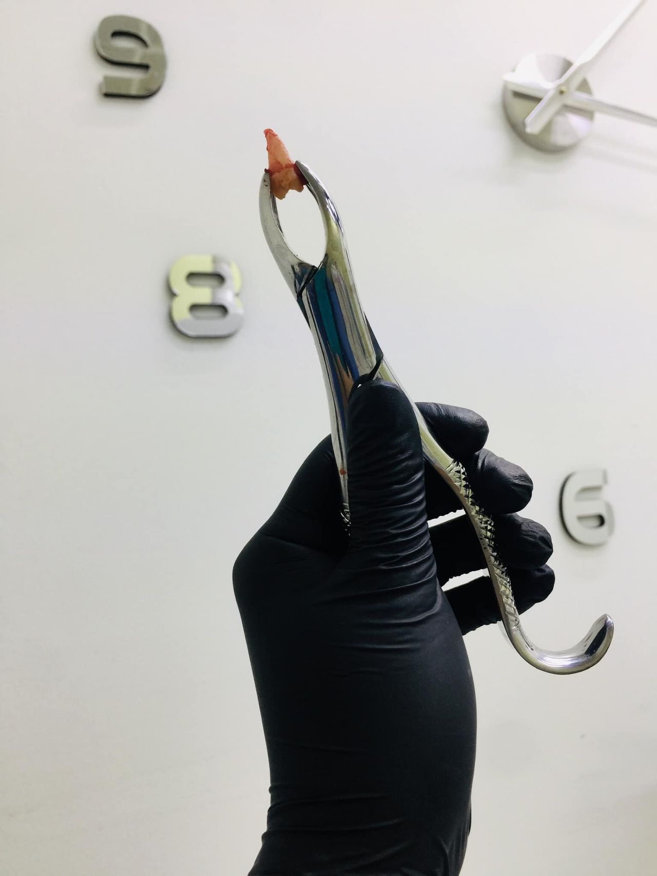 Montserrat Alcántara Conde-17