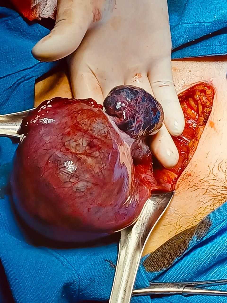 Sandra Faviola Dávila Molina-1