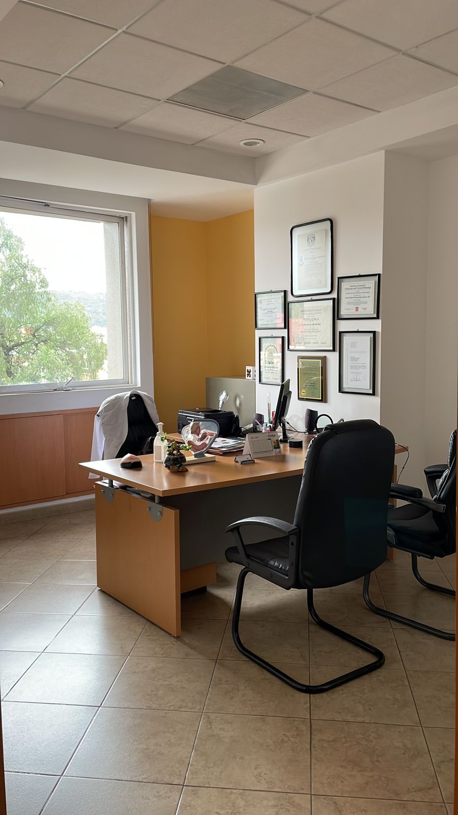 Teresita Mr Rojas Sánchez-2