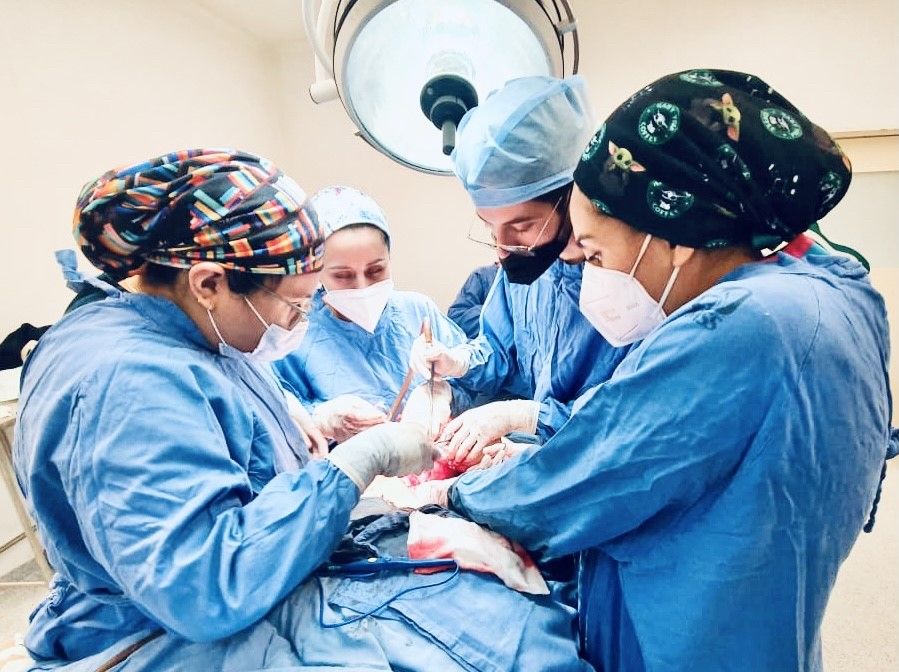 Leticia Carmona Arévalo-3