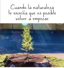 Dalia Angélica Villarreal Rodríguez-20