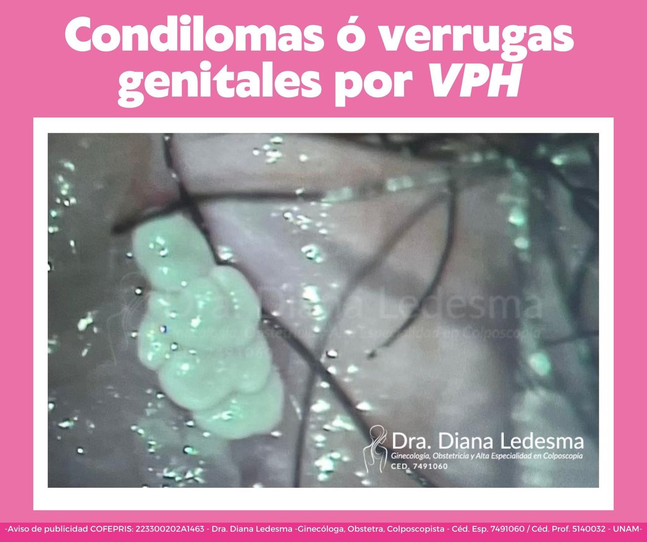 Diana Ledesma Estrada-13
