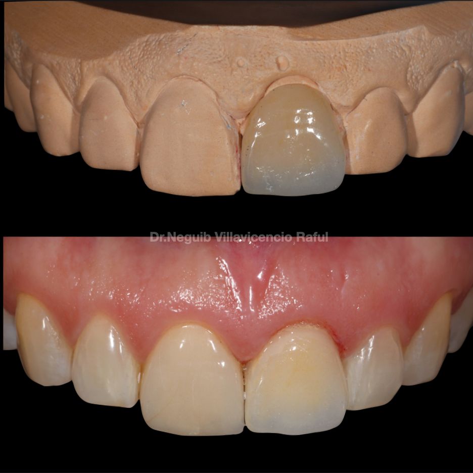 Neguib Villavicencio Raful-50