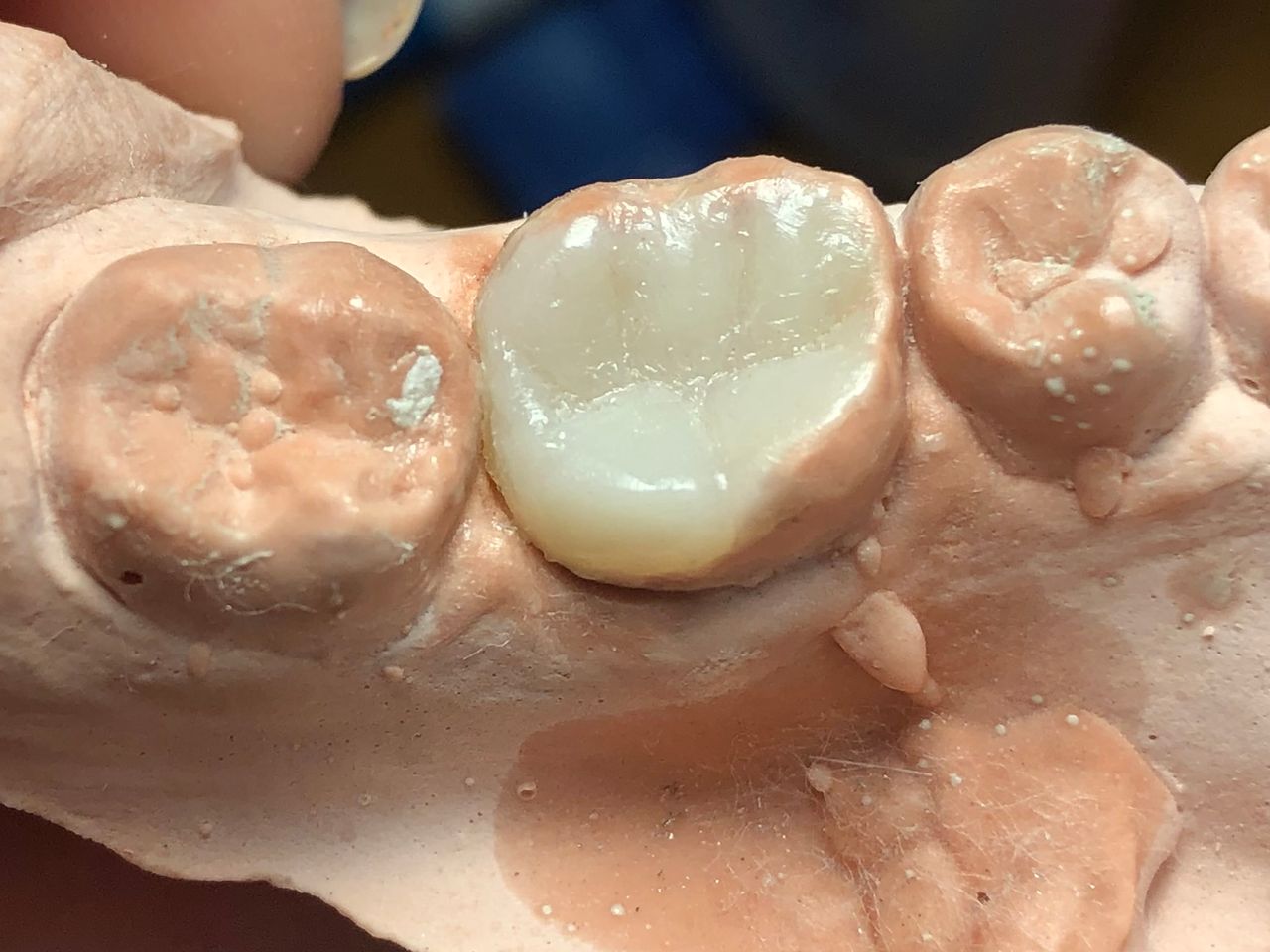 María Paula  Flores Novoa-48