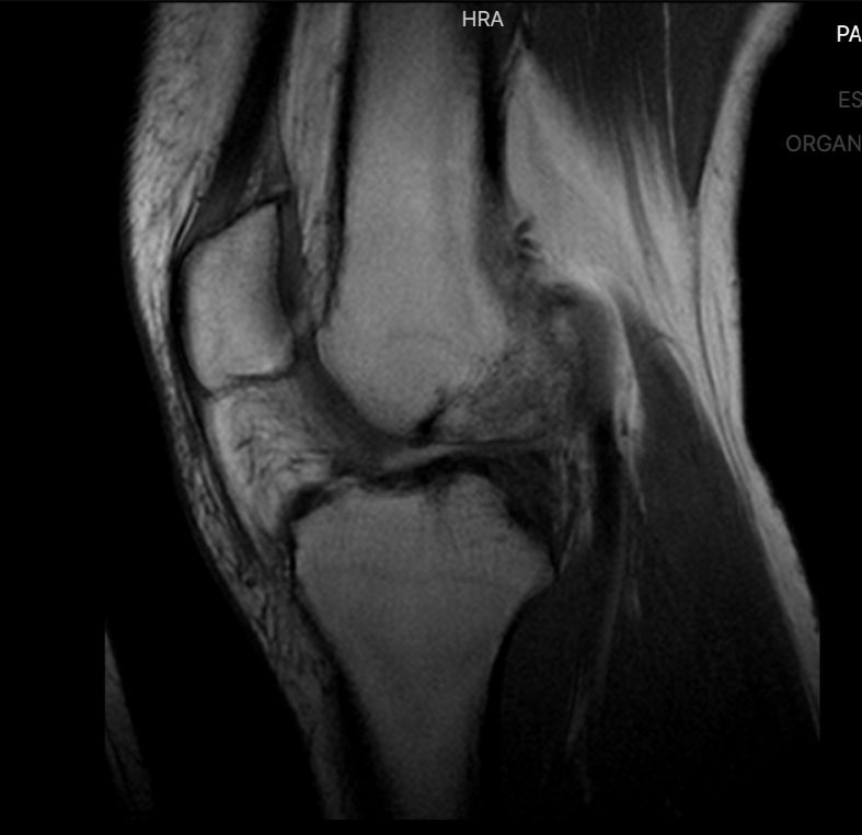 Adrian Estrada Campos-12