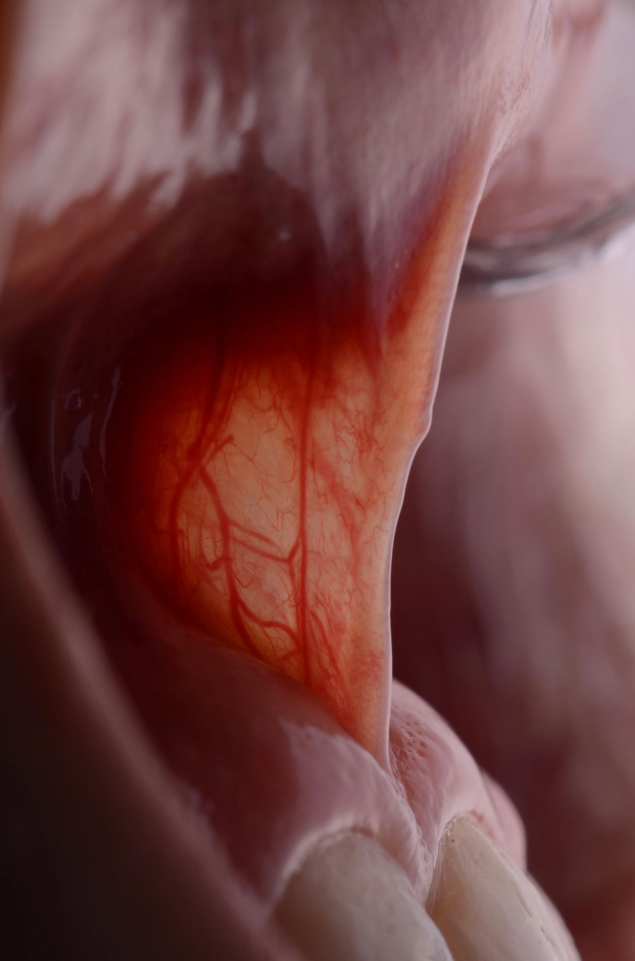 Angélica Saavedra Camacho-5