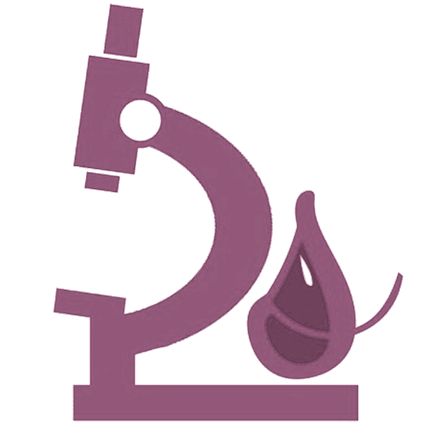 Paola Santana Hernández-2