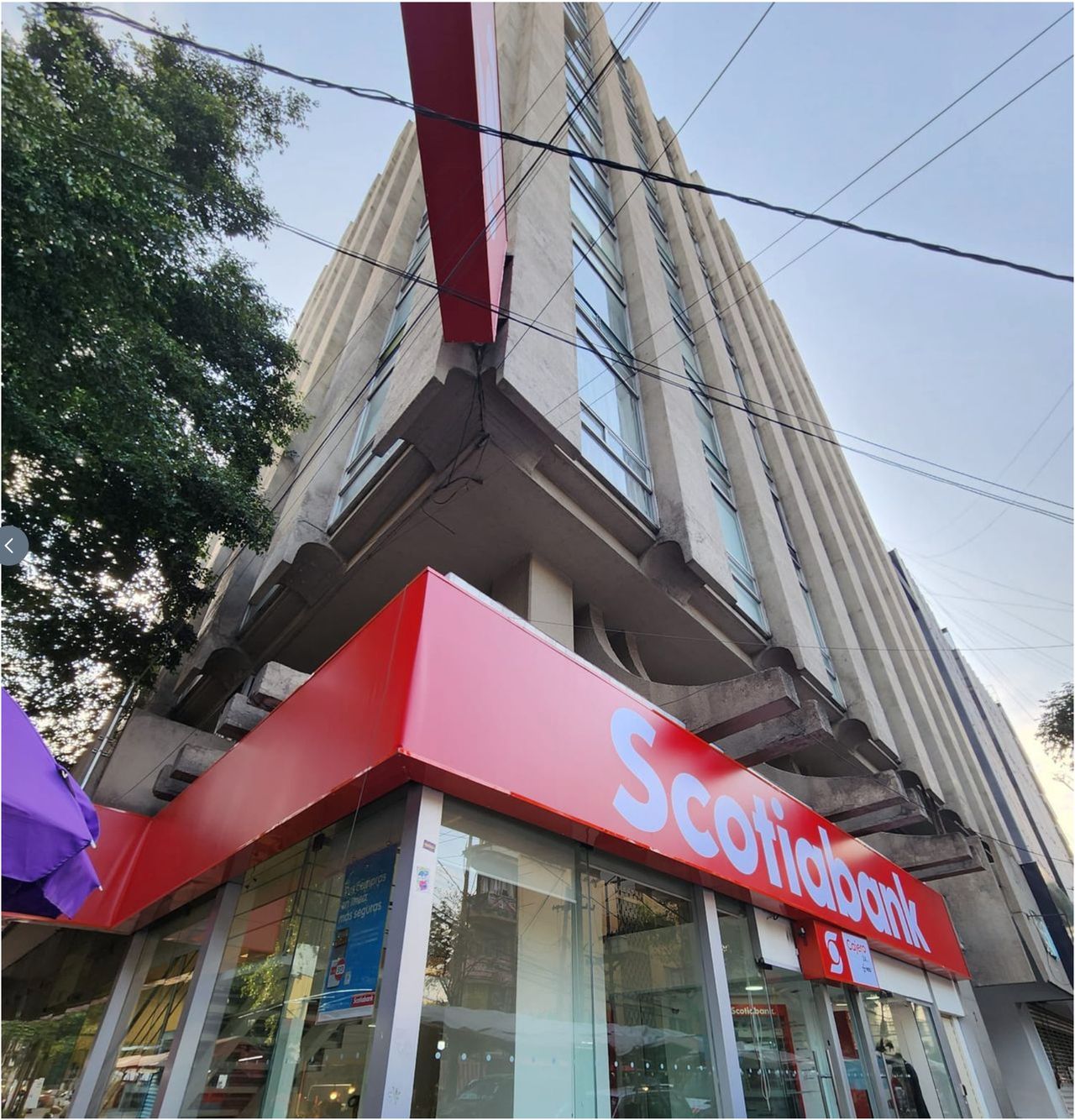 Ximena Flores Villalobos-4