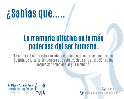 Miguel Angel Liñan Arce-3