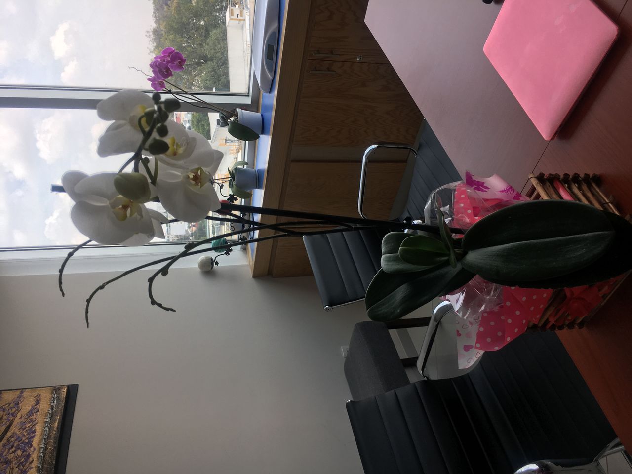 Xochitl Jiménez Jiménez-3