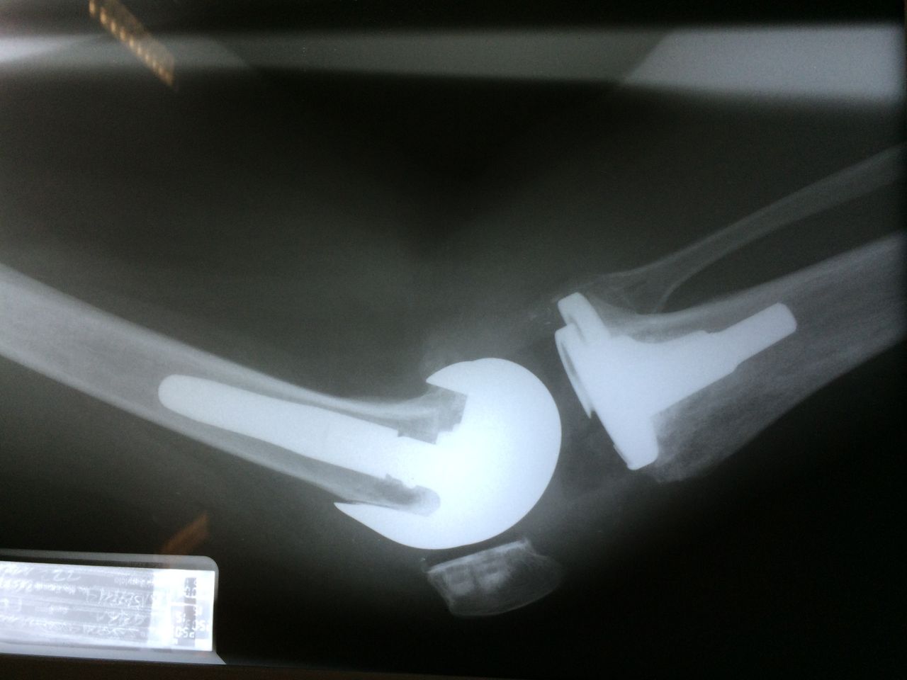 Marco Antonio Altamirano Cruz-9