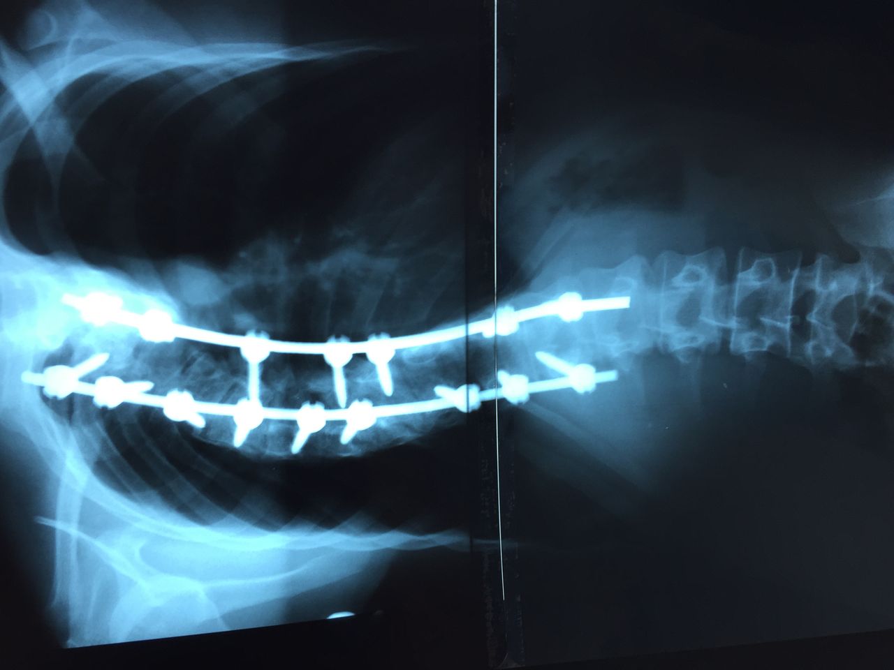 José Antonio Canales Najera-11