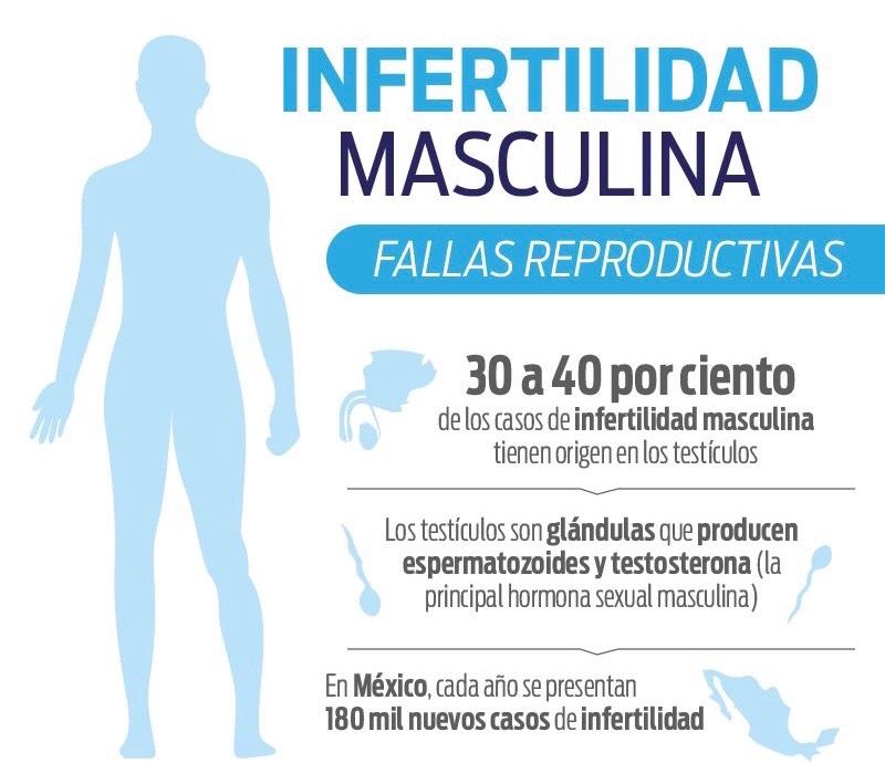 Alejandro Ibarra Ordóñez-19