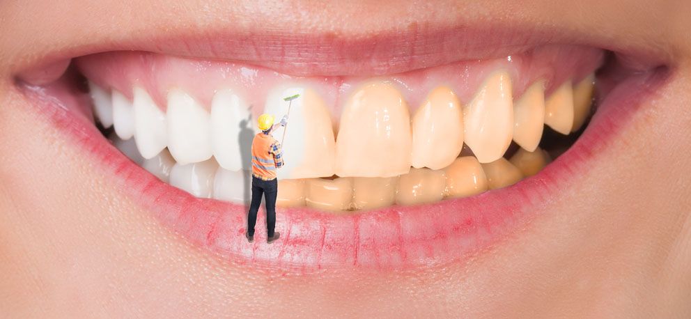 Aida Guadalupe Negrete Muñoz-3