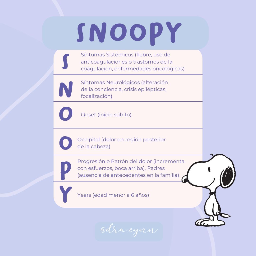 Cynthia Guerra Pérez-7