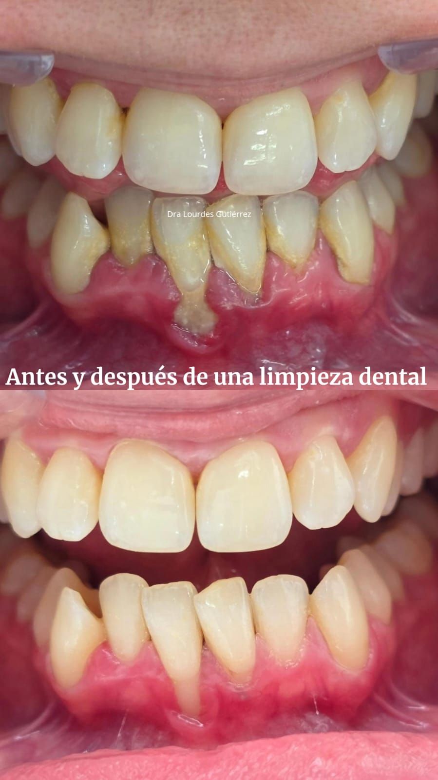 Lourdes Gutiérrez Marin-2