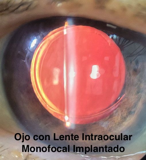 Jesus Luna Briceño-9