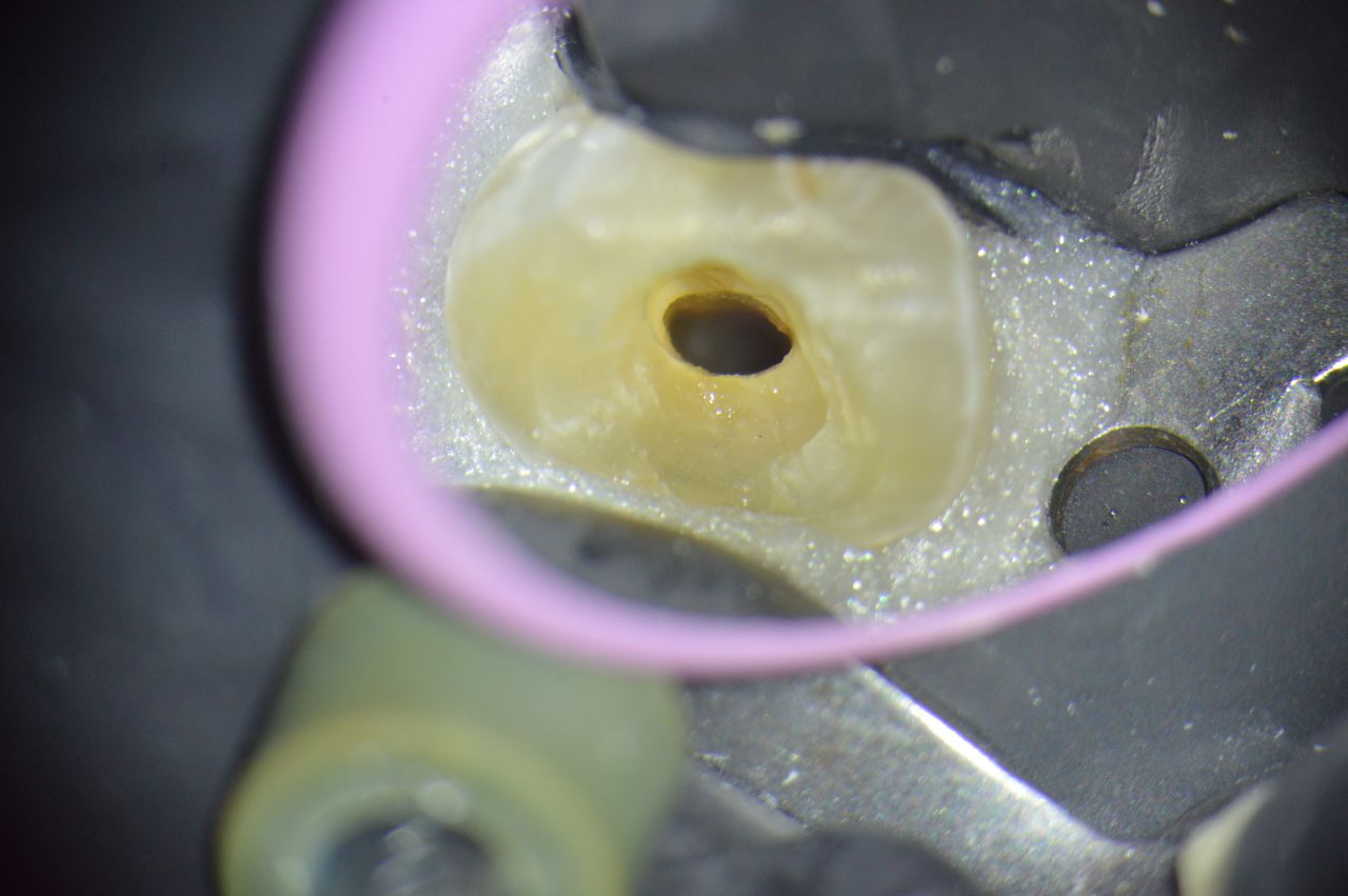 Ana Guadalupe Ontiveros Granados-1