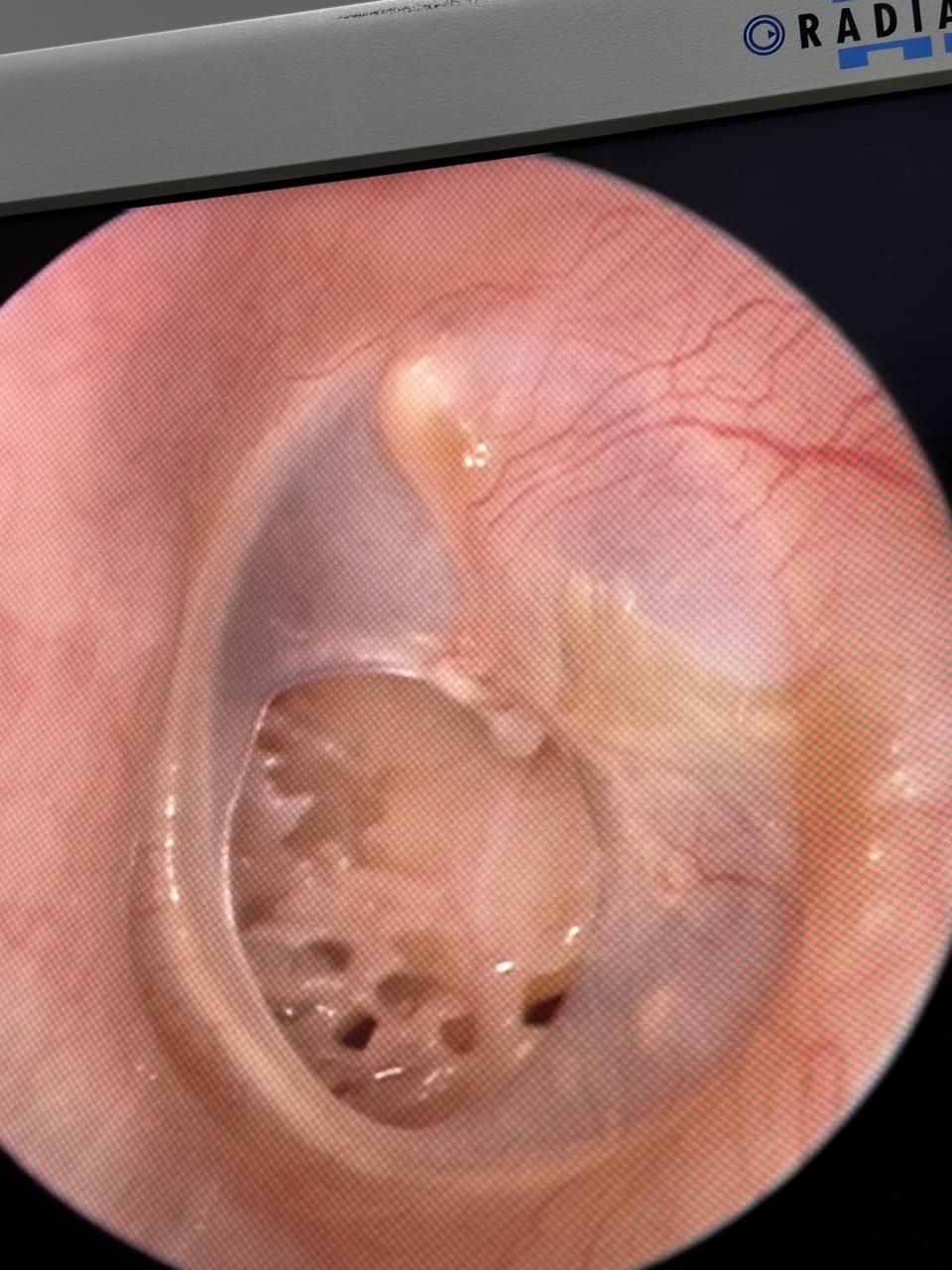 Alejandra Quintero Bauman-2