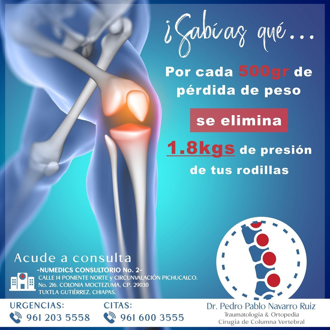 Pedro Pablo Navarro Ruiz-7