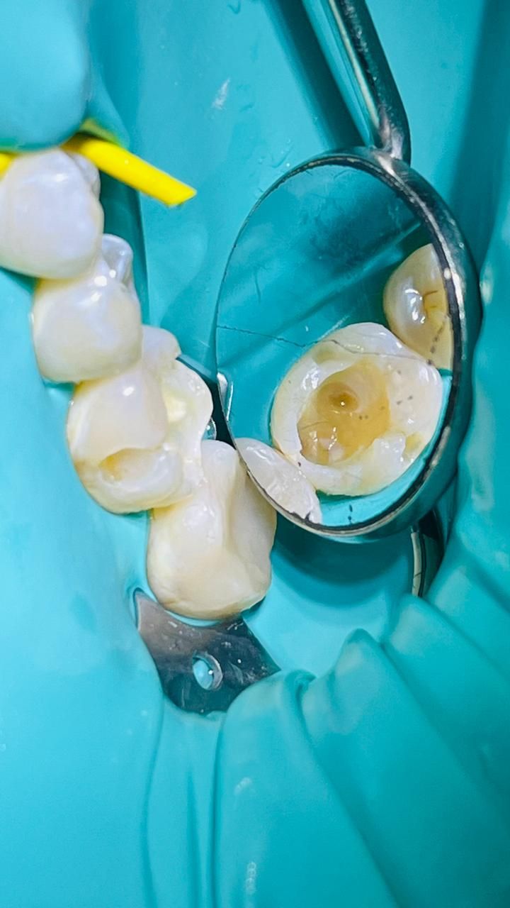 Rocio De La Aurora Carreón Vázquez-13