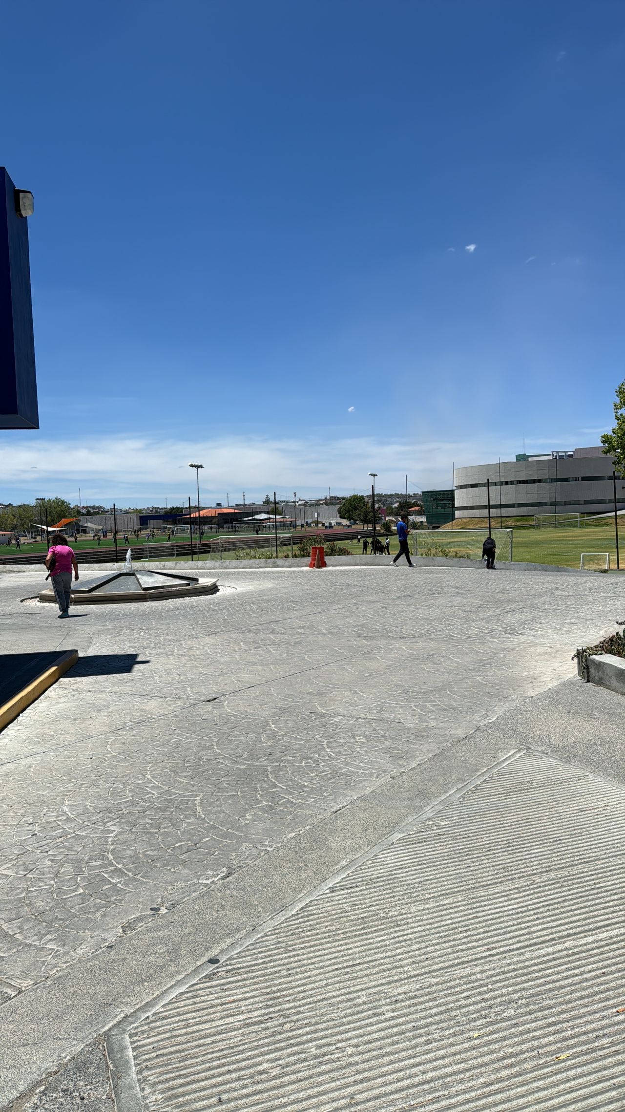 Diego Edwuin Rosales Carmona-3