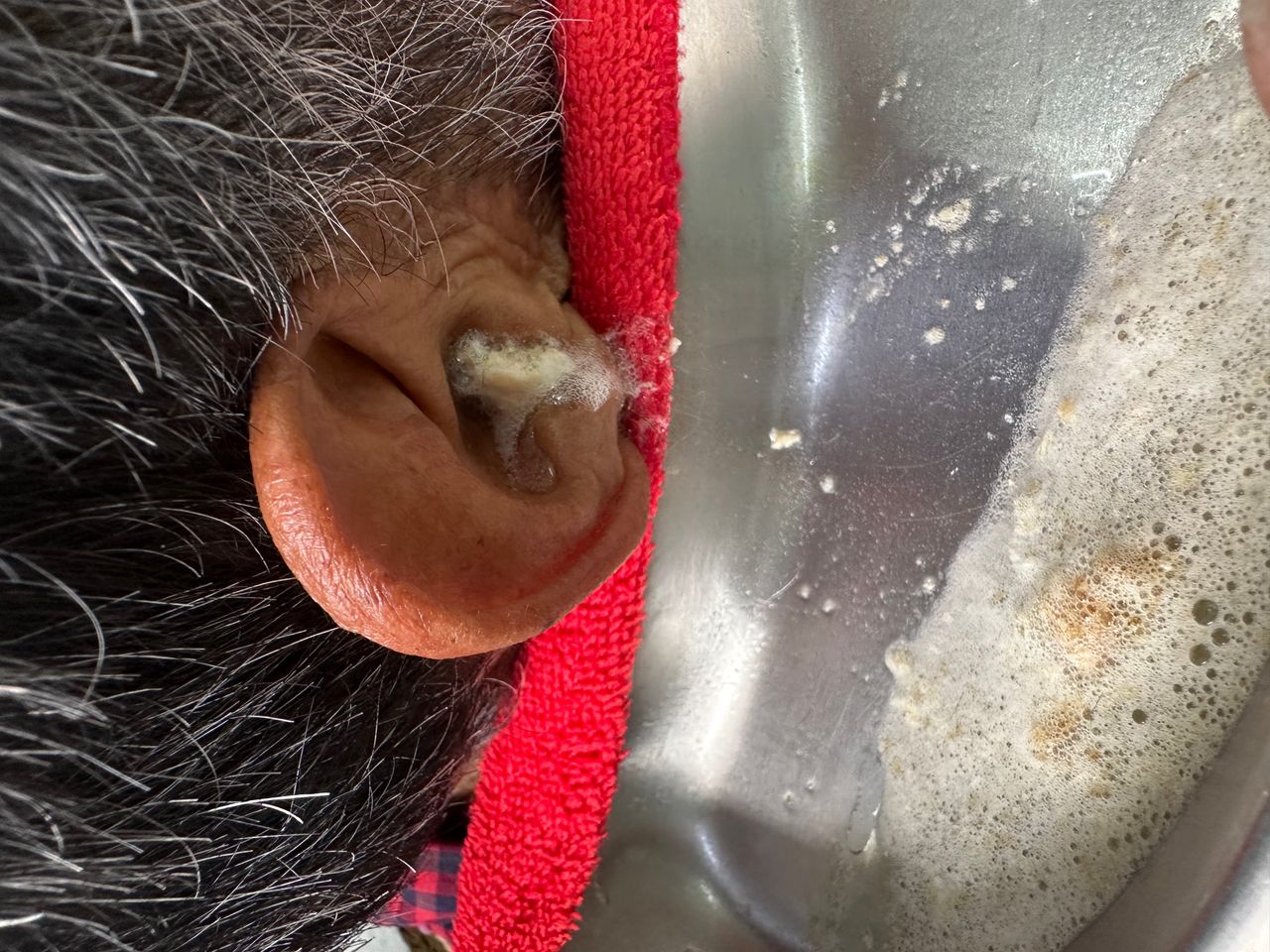 Jorge Luis Bautista Saldierna-4