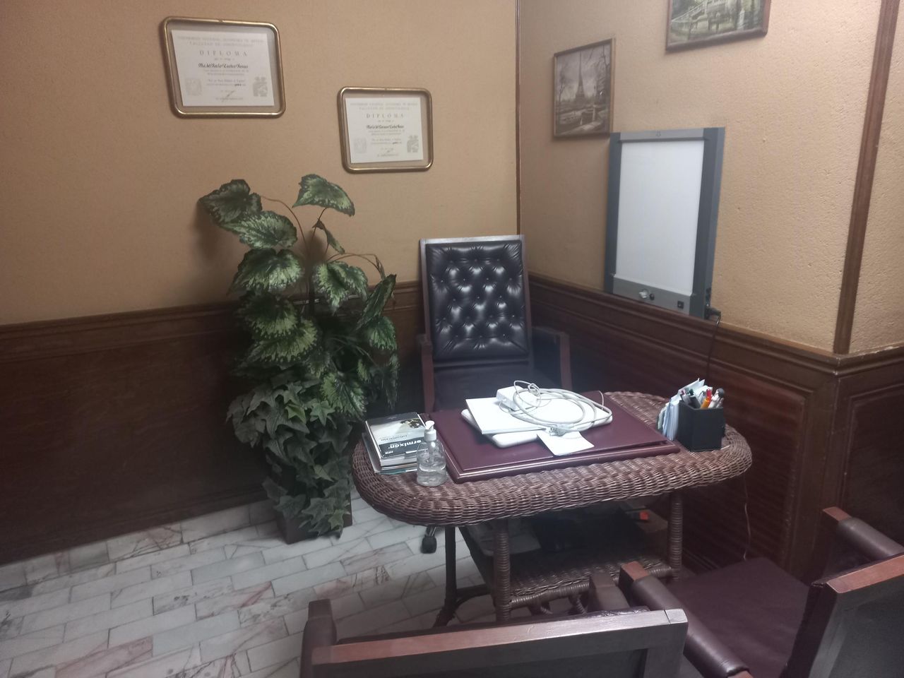 Adolfo Castro Rosas-3