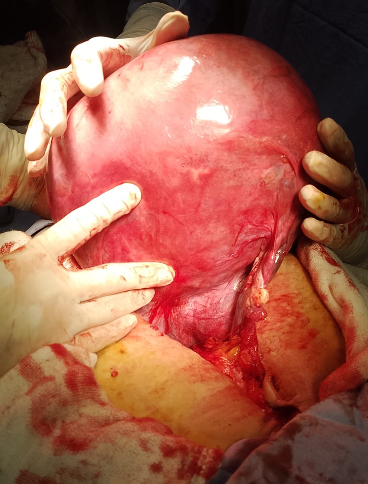 Martha Ivette Mejia Chavez-14