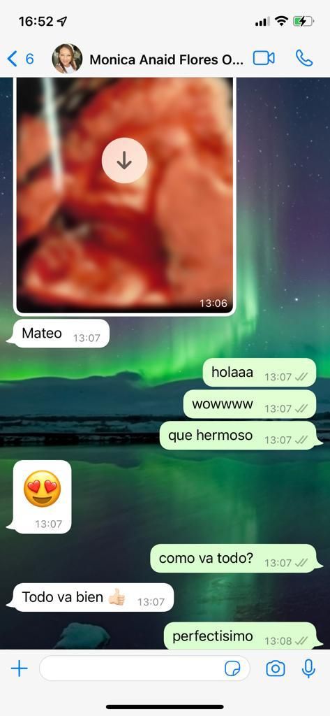 Luis Miguel Campos Olmedo-14