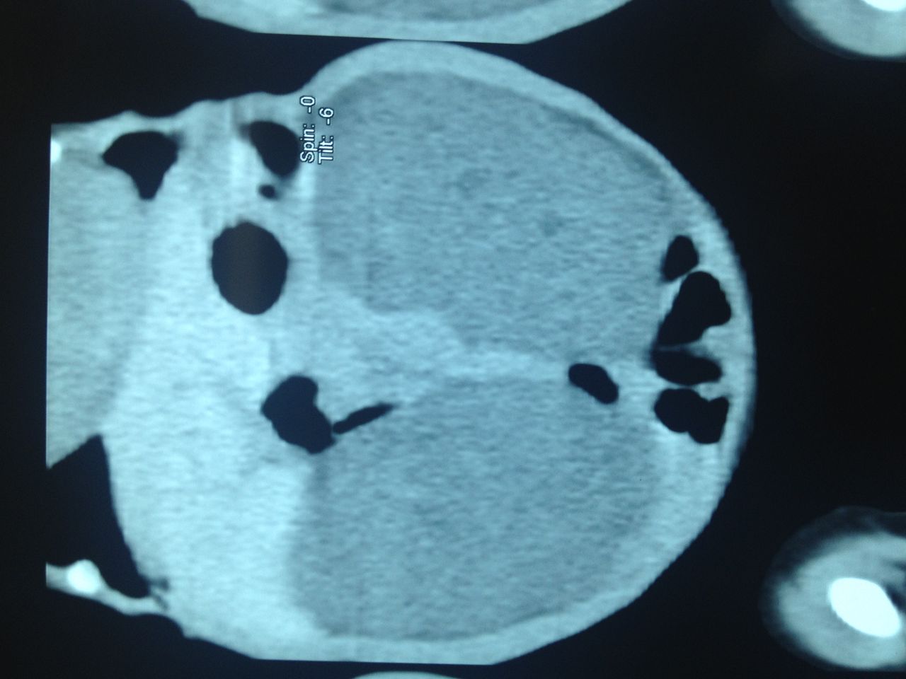 José Miguel Macedo Pérez-0