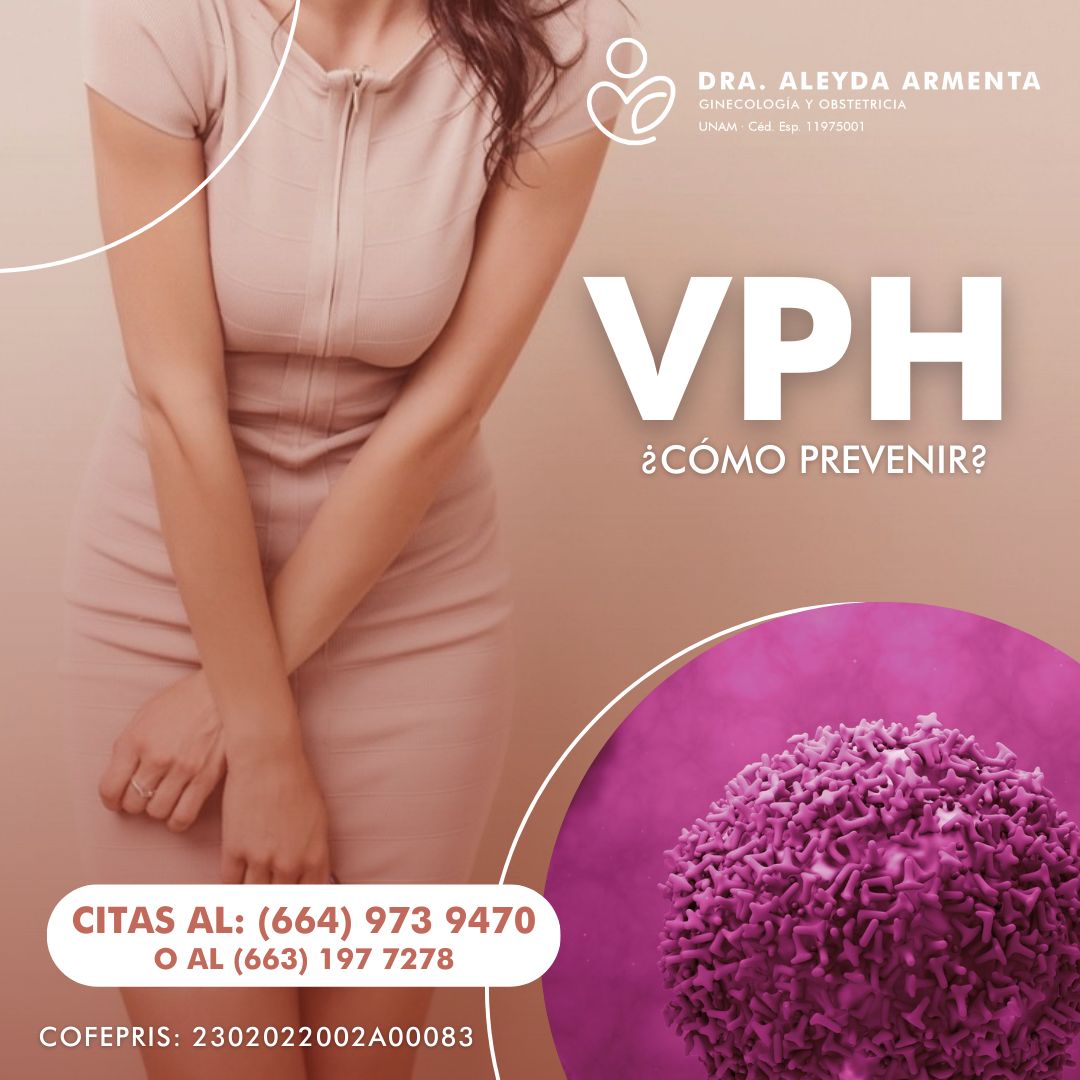 Aleyda Fernanda Armenta Rios-5