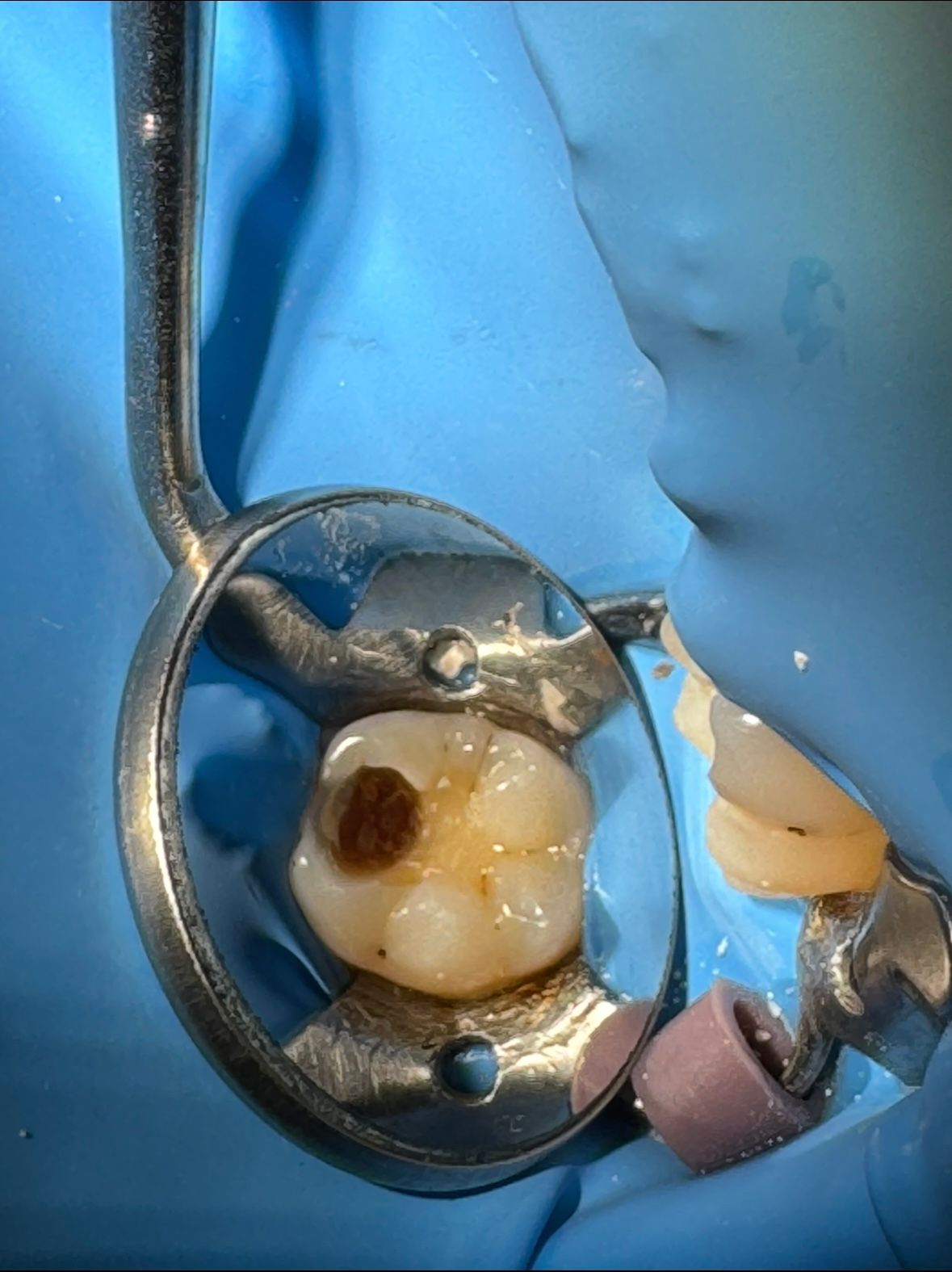 Claudia Isabel Chuc Cool-6