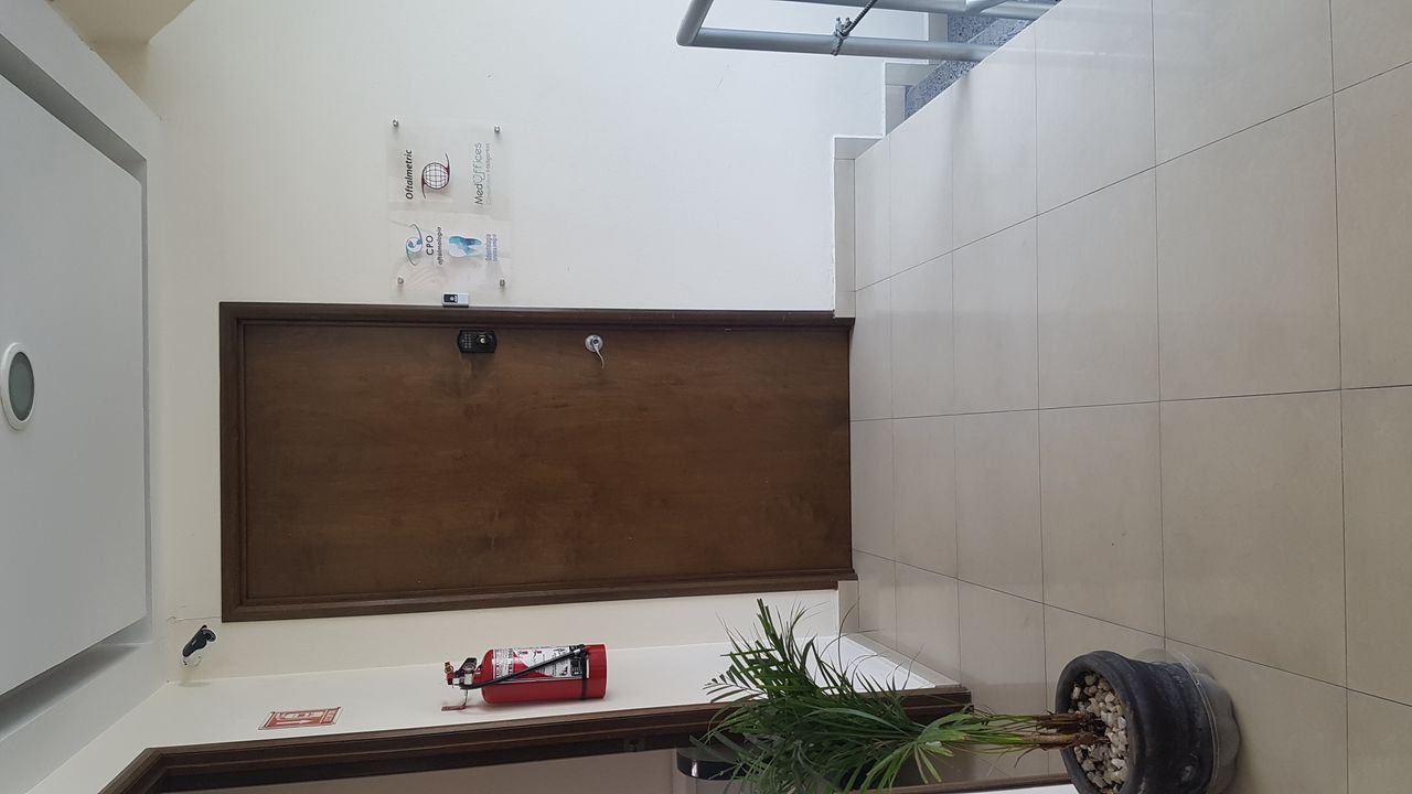 Adriana González Reyes-5