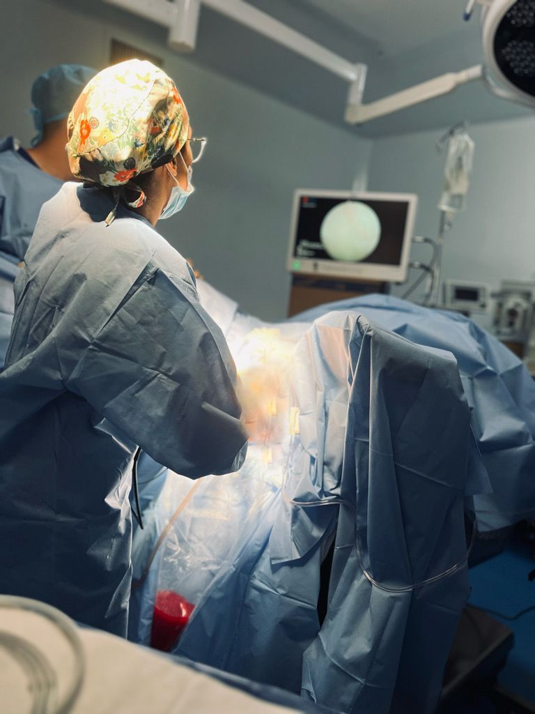 Brenda Aguirre León-2