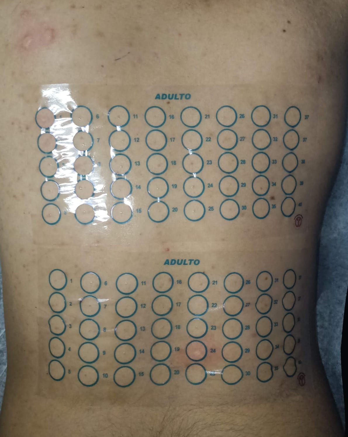 Carlos Gerardo Zuñiga Lagunes-20