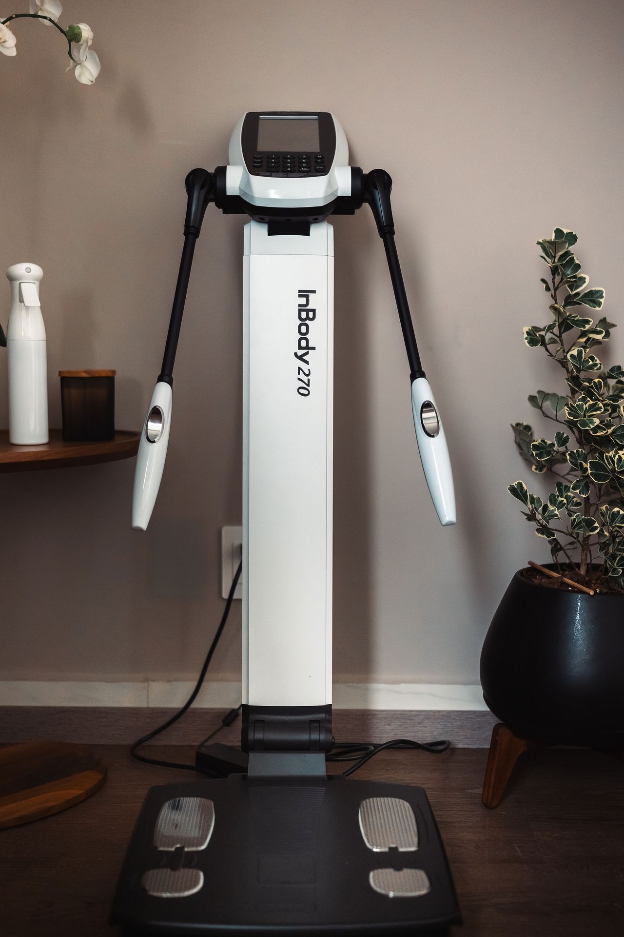 Lorena Frade Coria-1