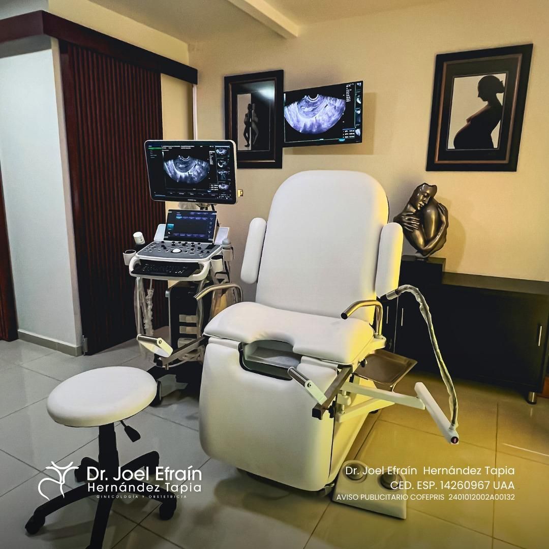 Joel Efraín Hernández Tapia-6