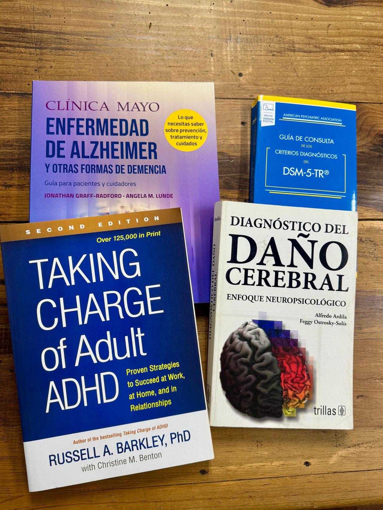 Daniel Hernández Torres-10