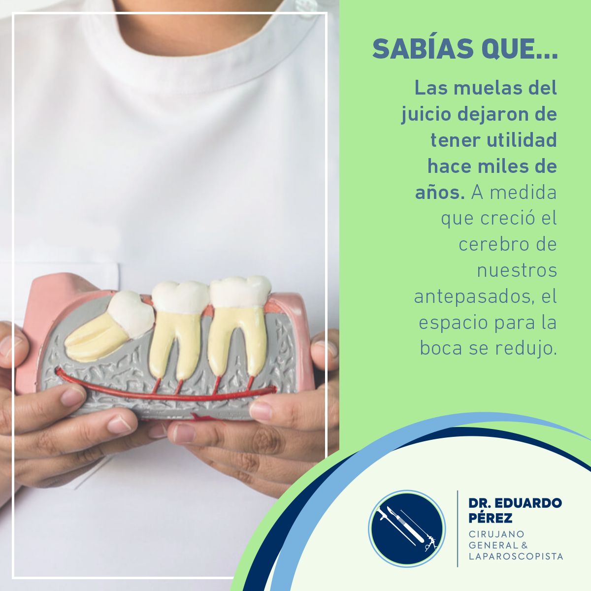 José Eduardo Pérez Vásquez-14