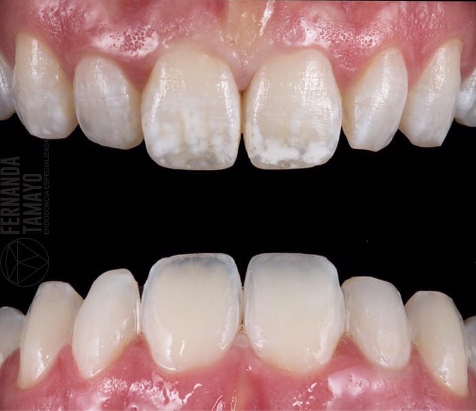 María Fernanda Tamayo Lizárraga-1