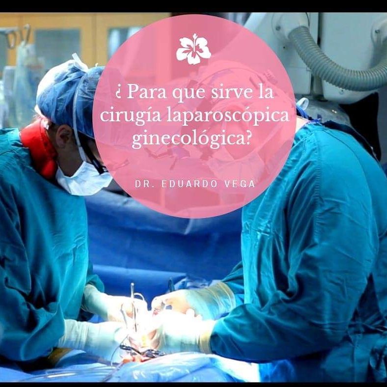 Eduardo Vega Estrada-5