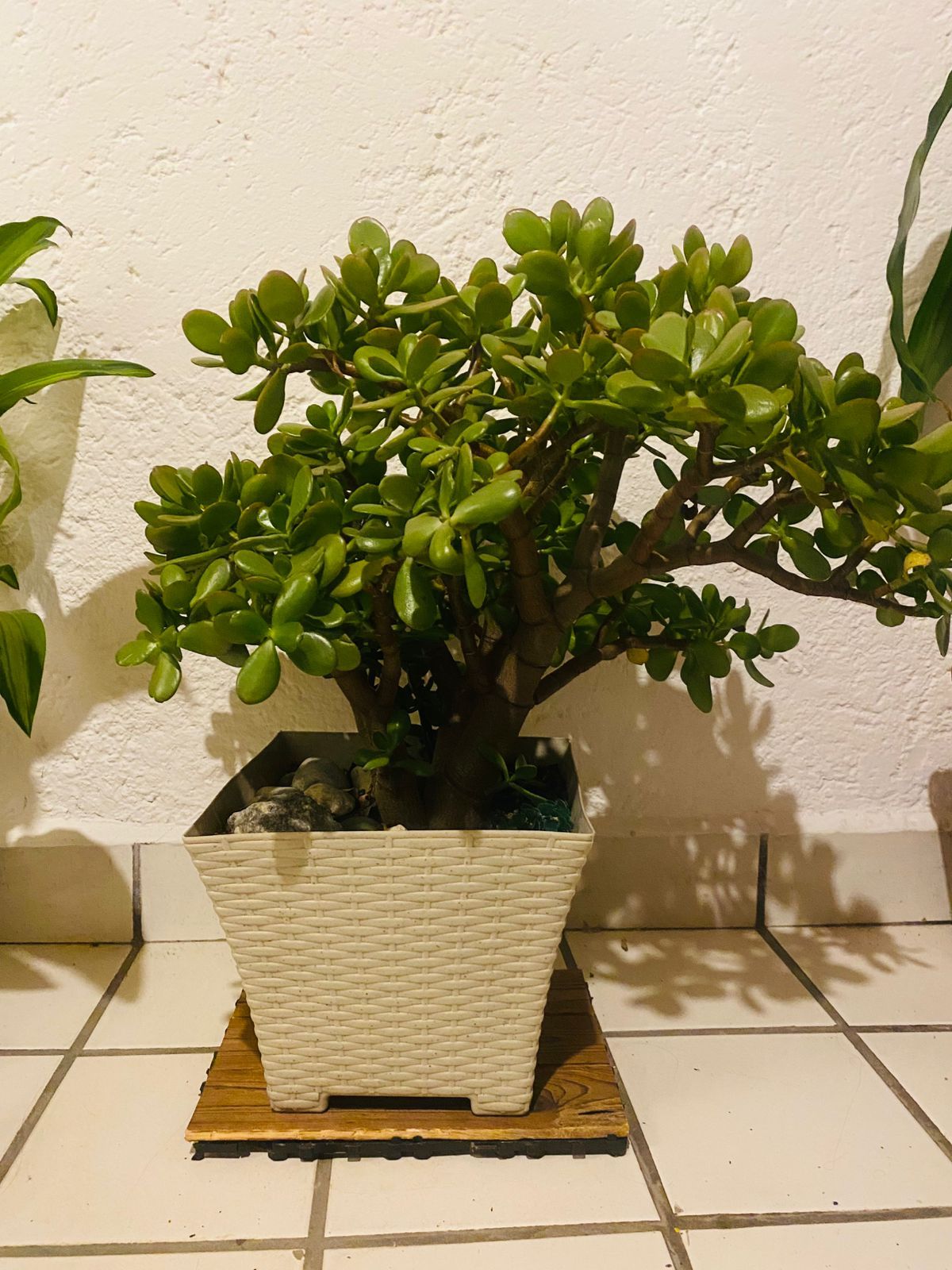 Alejandra Gómez Martínez-10