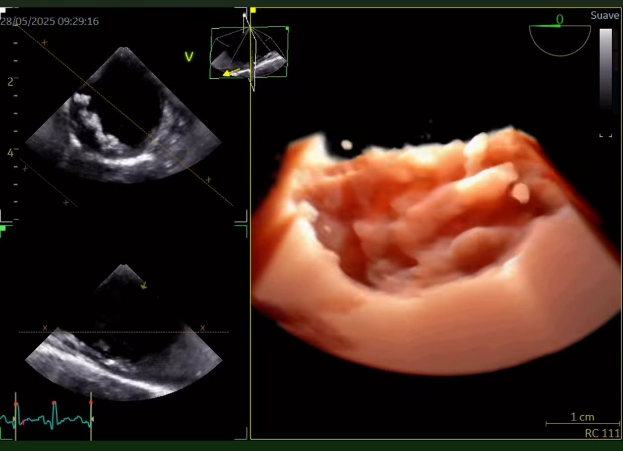 José Alberto Sánchez Toscano-0