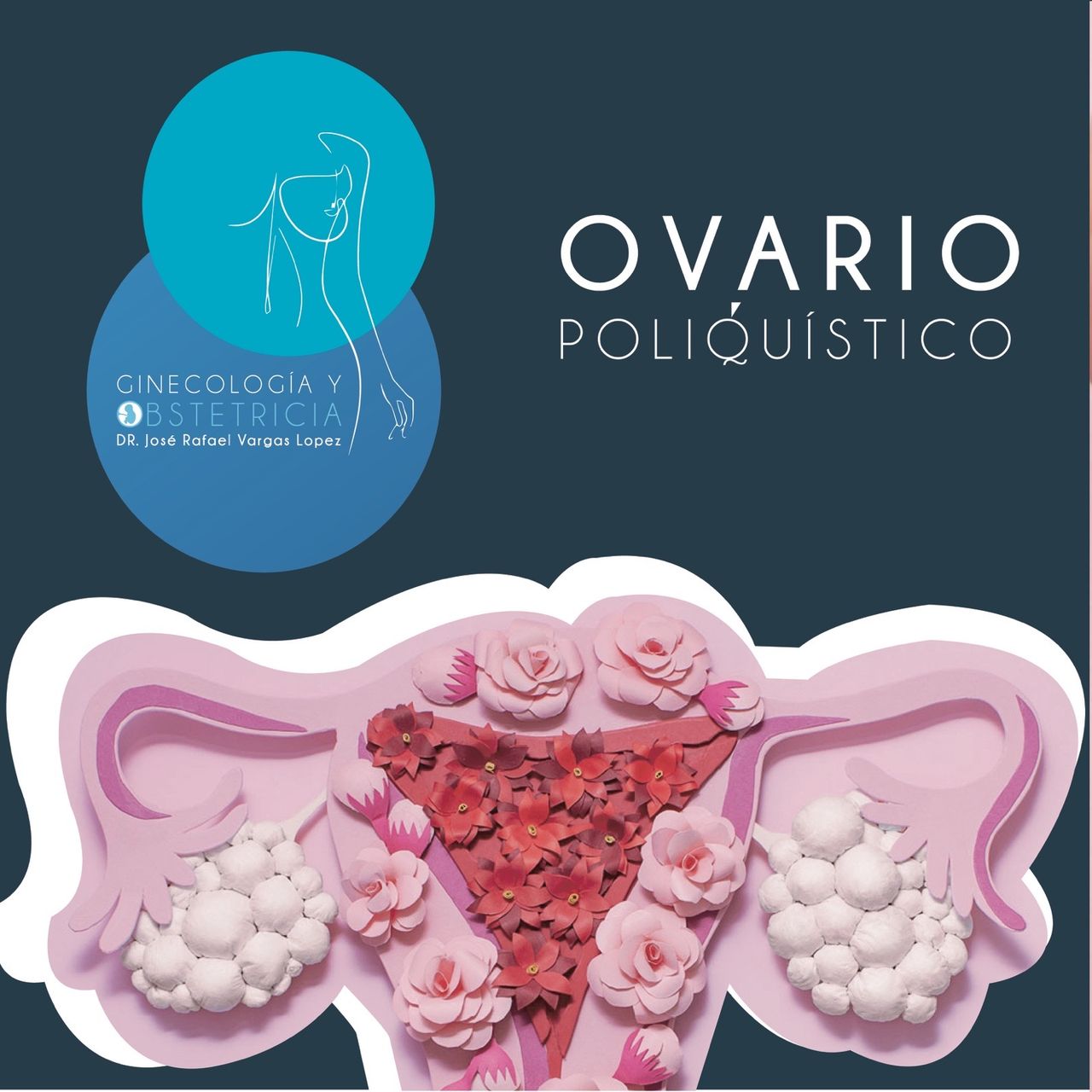 Jose Rafael Vargas Lopez-19