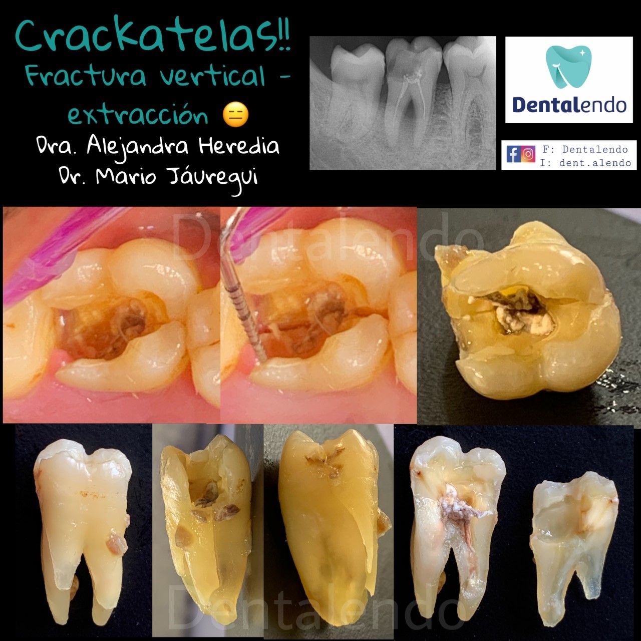 Alejandra Heredia Morán-14